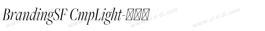 BrandingSF CmpLight字体转换